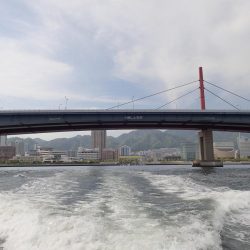 ライトワインドで爆釣の夜♪